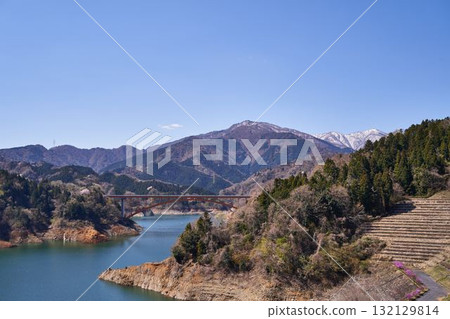 神奈川縣宮瀨湖的春天 132129814