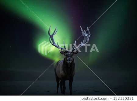 Majestic deer with large antlers watching the beautiful northern lights in a winter night 132130351