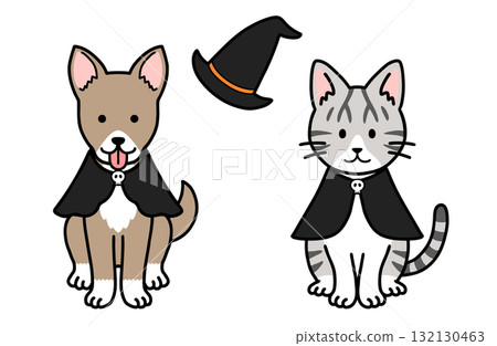Dog and Cat Halloween Costumes 132130463