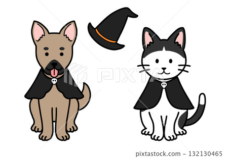 Dog and Cat Halloween Costumes 132130465