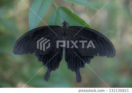 Kamiakudake的風景 132130821