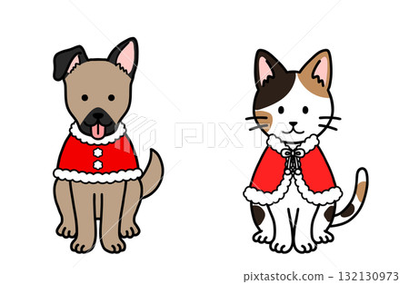 Dog and cat in Santa costumes Dog and cat in Santa costumes 132130973
