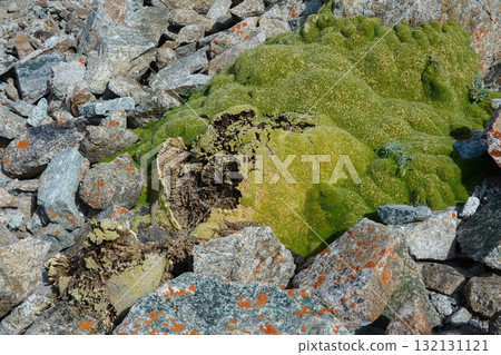 吉爾吉斯斯坦_阿拉阿爾恰國家公園_Elektro Peak 吉爾吉斯斯坦_阿拉阿爾恰國家公園_Elektro Peak 132131121