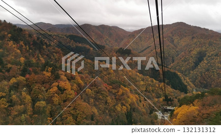 Autumn leaves seen from the Tengendai Ropeway 132131312