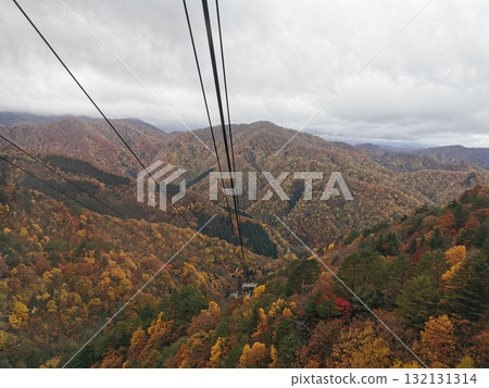 Autumn leaves seen from the Tengendai Ropeway 132131314