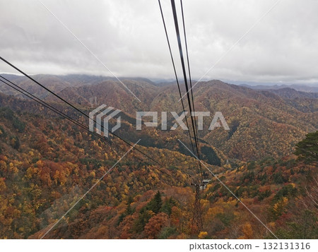 Autumn leaves seen from the Tengendai Ropeway Autumn leaves seen from the Tengendai Ropeway 132131316