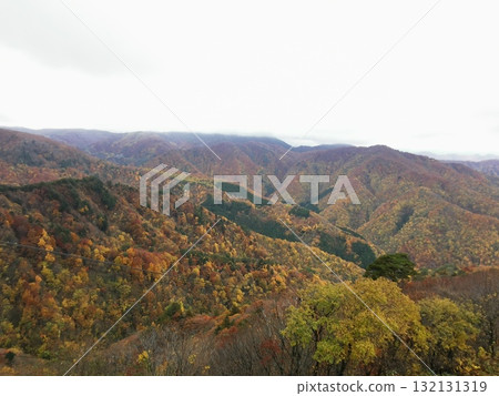 Autumn leaves seen from the Tengendai Ropeway 132131319