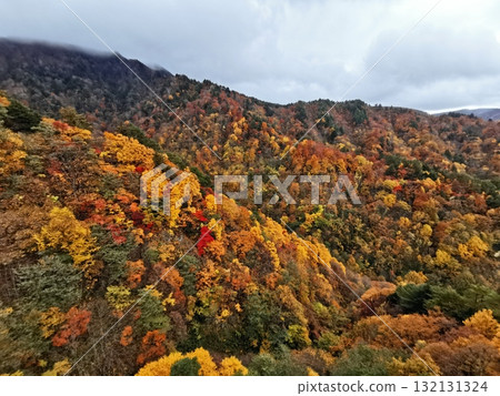 Autumn leaves seen from the Tengendai Ropeway Autumn leaves seen from the Tengendai Ropeway 132131324