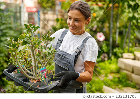 A devoted gardener passionately cares for vibrant plants in a thriving greenhouse 132131705