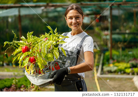 A joyful smiling gardener surrounded by an abundance of fresh produce inside a greenhouse A joyful smiling gardener surrounded by an abundance of fresh produce inside a greenhouse 132131717