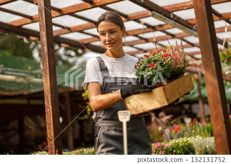 A gardener nurtures beautiful potted flowers in a greenhouse, showcasing their love for nature A gardener nurtures beautiful potted flowers in a greenhouse, showcasing their love for nature 132131752