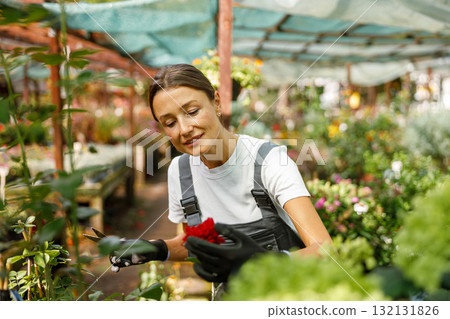 A passionate gardening enthusiast is cultivating an array of vibrant flowers at a lush local market 132131826