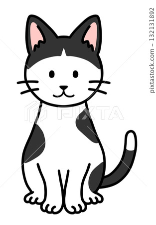 一隻坐著的有瀏海的虎斑貓 132131892