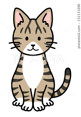 A sitting tabby white cat A sitting tabby white cat 132131896