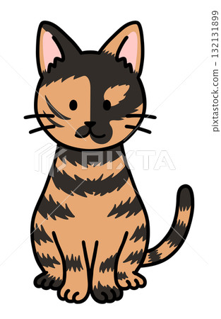 A sitting tabby cat A sitting tabby cat 132131899