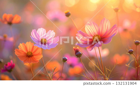 A sparkling background like cosmos and a sunset A sparkling background like cosmos and a sunset 132131904