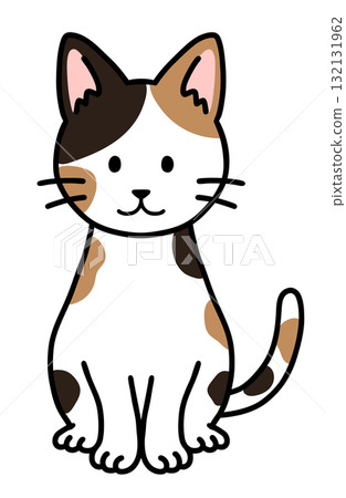 印花布貓坐著 132131962