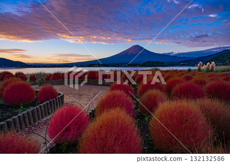 [山梨縣] 河口湖大石公園 - 拂曉時分的富士山與秋葉的櫛比 132132586