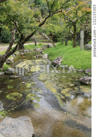 A view of the algae-covered river flowing through Maruyama Park in Kyoto A view of the algae-covered river flowing through Maruyama Park in Kyoto 132133303