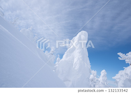 Yamagata Prefecture Zao Onsen Ski Resort: A silvery world of frost-covered trees Yamagata Prefecture Zao Onsen Ski Resort: A silvery world of frost-covered trees 132133542
