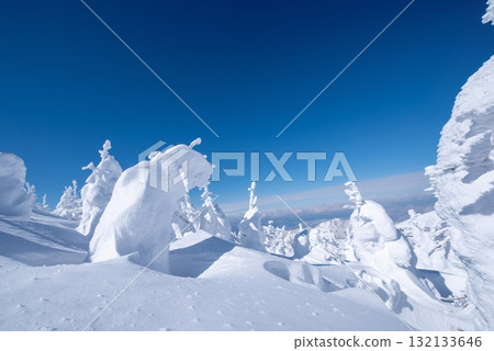 山形縣藏王溫泉滑雪場：銀裝素裹的樹冰世界 132133646
