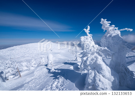 Yamagata Prefecture Zao Onsen Ski Resort: A silvery world of frost-covered trees 132133653