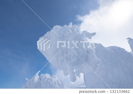 Yamagata Prefecture Zao Onsen Ski Resort: A silvery world of frost-covered trees Yamagata Prefecture Zao Onsen Ski Resort: A silvery world of frost-covered trees 132133662