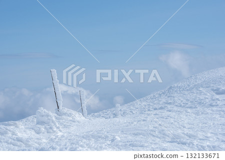 Yamagata Prefecture Zao Onsen Ski Resort: A silvery world of frost-covered trees 132133671
