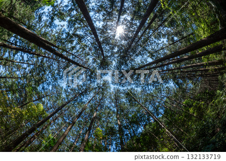 三重縣熊野古道馬志通 三重縣熊野古道馬志通 132133719