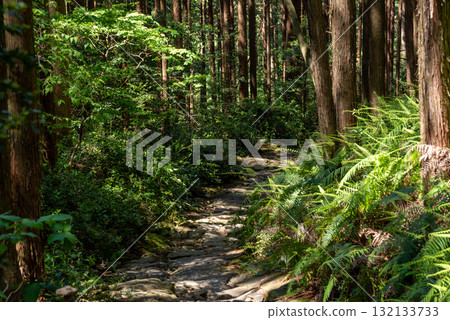 Mie Prefecture Kumano Kodo Magoshi Pass Mie Prefecture Kumano Kodo Magoshi Pass 132133733