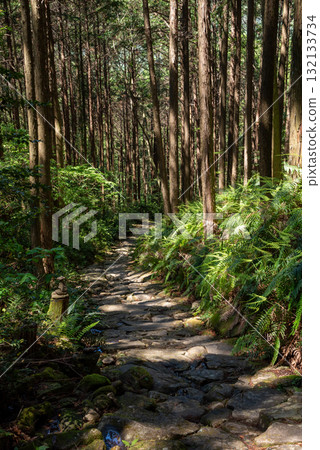Mie Prefecture Kumano Kodo Magoshi Pass 132133734