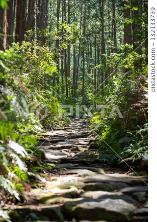 Mie Prefecture Kumano Kodo Magoshi Pass Mie Prefecture Kumano Kodo Magoshi Pass 132133739