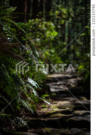 三重縣熊野古道馬志通 132133740