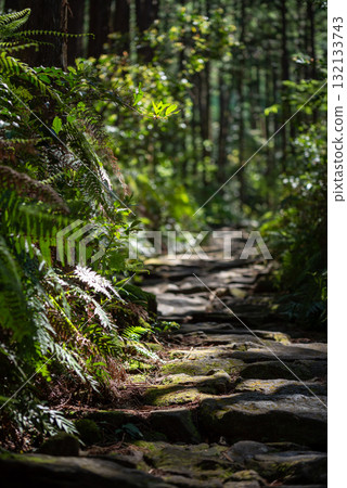 Mie Prefecture Kumano Kodo Magoshi Pass 132133743