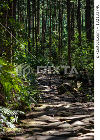 Mie Prefecture Kumano Kodo Magoshi Pass Mie Prefecture Kumano Kodo Magoshi Pass 132133746