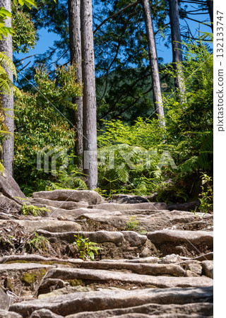 三重縣熊野古道馬志通 132133747