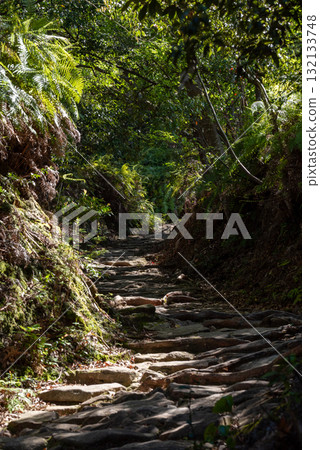 三重縣熊野古道馬志通 132133748