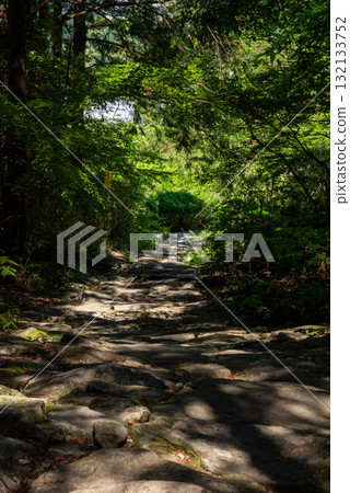 三重縣熊野古道馬志通 132133752