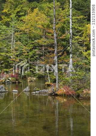 The swamp where the leaves have begun to turn red 132133908