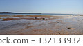 Panoramic view of Provincetown Cape Cod shoreline at low tide 132133932