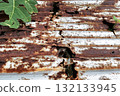 Rusty corrugated iron sheet with multiple holes and heavy corrosion, damaged roof surface 132133945