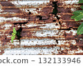 Green plant growing through burnt rusty metal roof symbol of life resilience and nature power 132133946