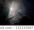 A dramatic night sky with moonlight shining through tropical palm leaves and clouds 132133947