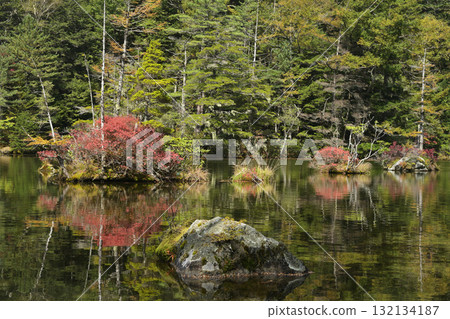 池塘被秋天的樹葉染成色彩 池塘被秋天的樹葉染成色彩 132134187