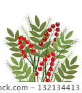 Christmas bouquet of Christmas tree branches and berries. It is suitable for making Christmas greeting cards and New Year's invitations 132134413