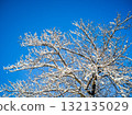白雪覆蓋的木頭 132135029