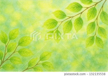 鮮綠山毛櫸葉生態影像水彩畫 鮮綠山毛櫸葉生態影像水彩畫 132135538