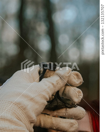 Ecologist holding small rescued bat in glove Ecologist holding small rescued bat in glove 132135707