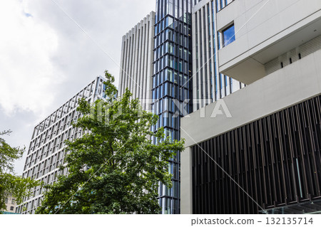 Modern glass office towers with greenery in urban business district Modern glass office towers with greenery in urban business district 132135714