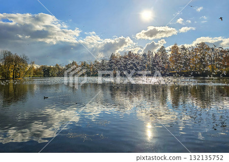 Many birds flying on blue sky. 132135752